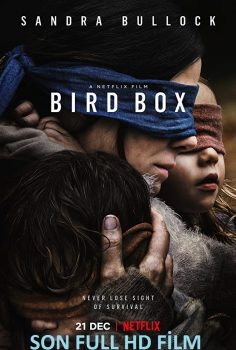 Bird Box Türkçe Dublaj izle (2018)