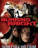 BrightBurn Türkçe Dublaj izle (2019)