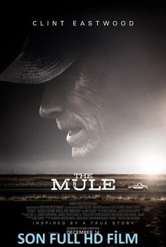 The Mule Türkçe Dublaj izle (2018)